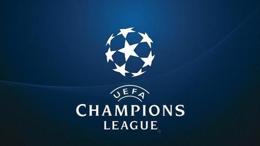 这一项目将 这一项目将